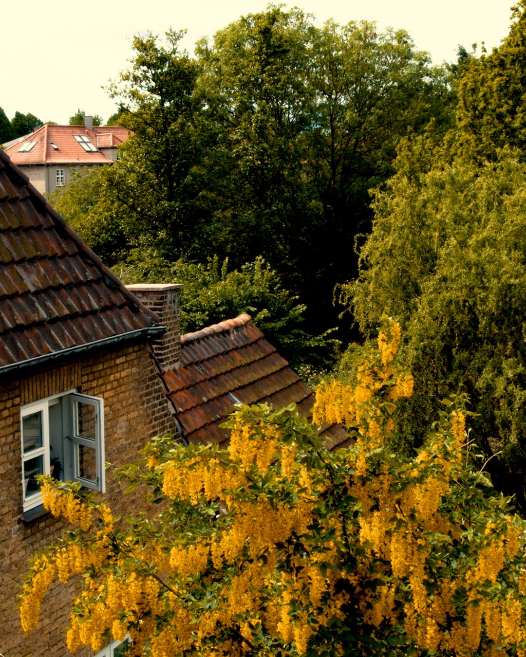 MortenKirckhoff_5