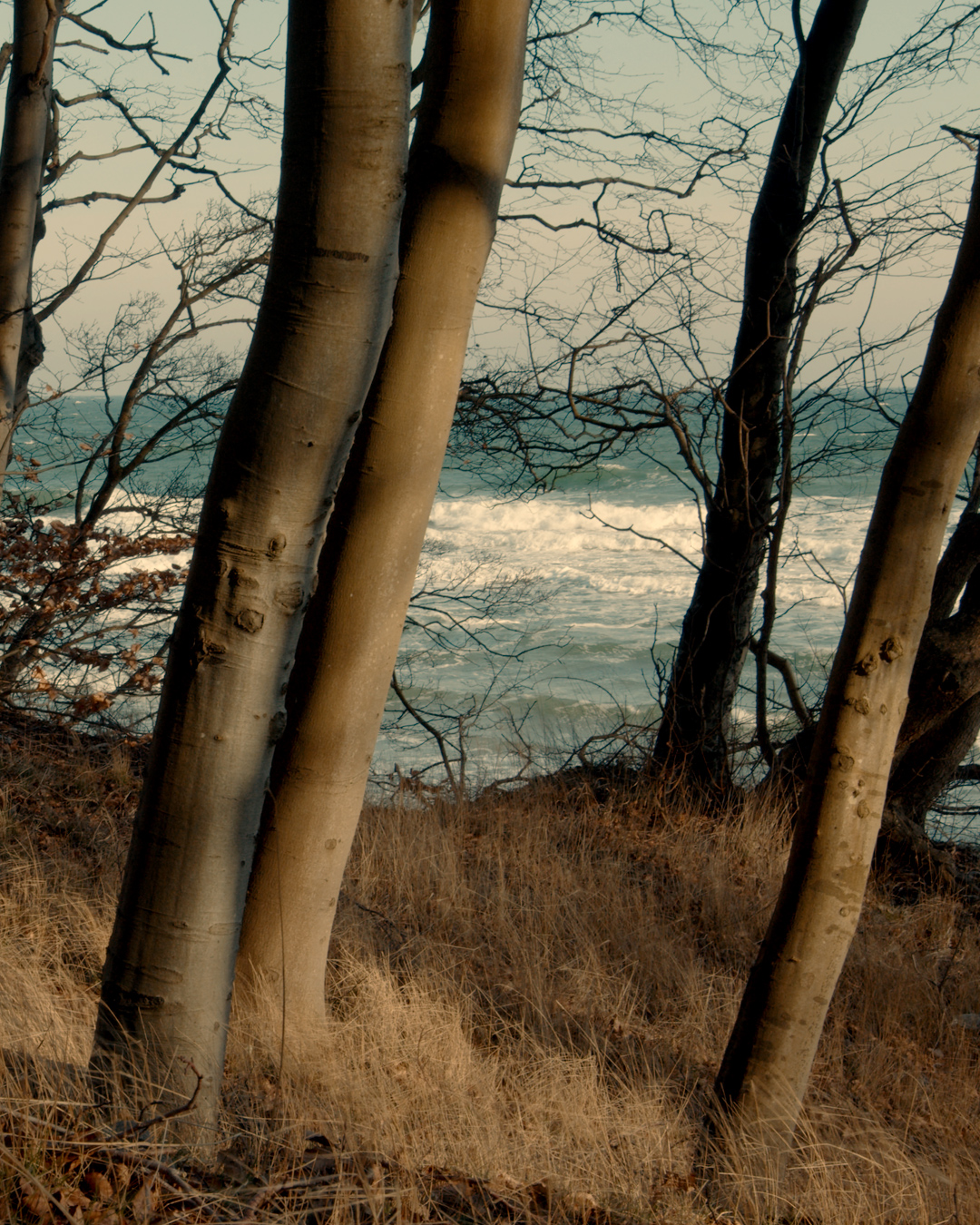 Line_Jensen_2