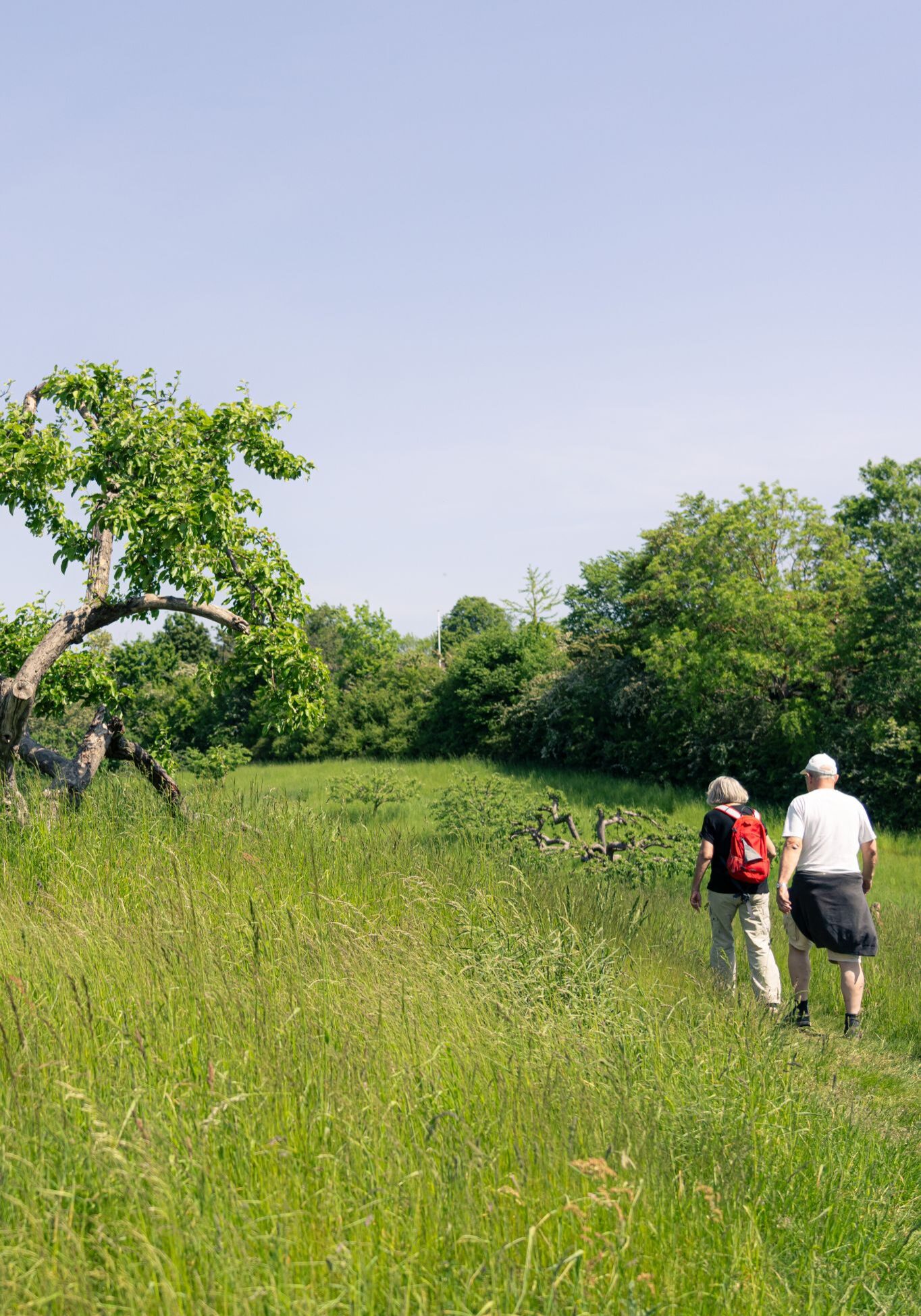 Design uden navn (5)